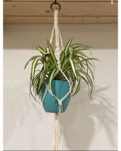 Load image into Gallery viewer, Plant hangers
