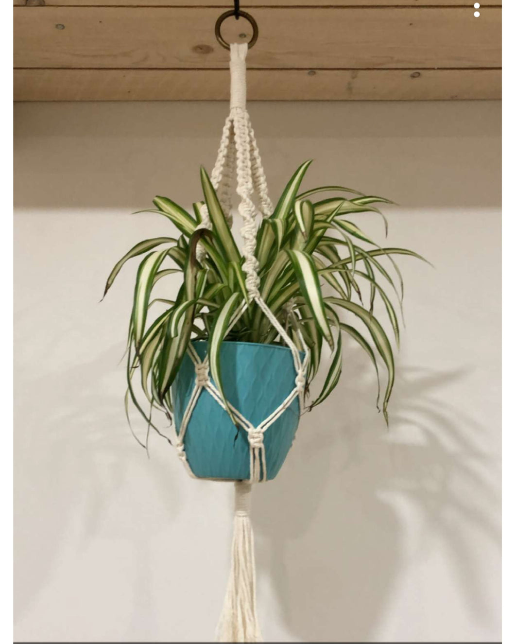 Plant hangers